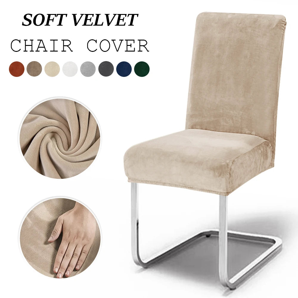 Soft Velvet Stretch Chair Cover – Solid Color