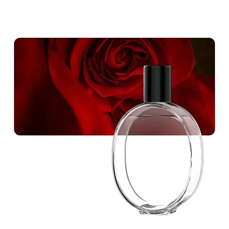 Aromatherapy Mist USB Humidifier